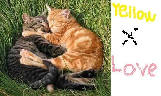 YellowxLove.jpg?t=1204240524
