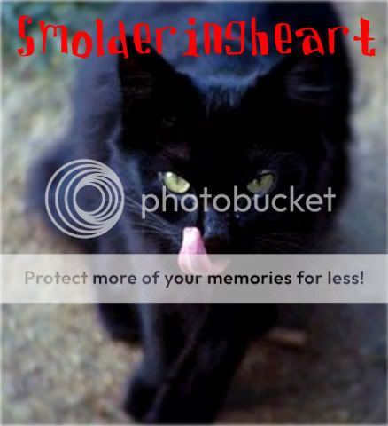 blackcat-734018.jpg?t=1213243106