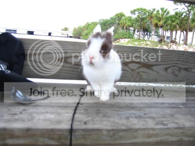 IMG_6085.jpg my front shot picture by cutecottonbun