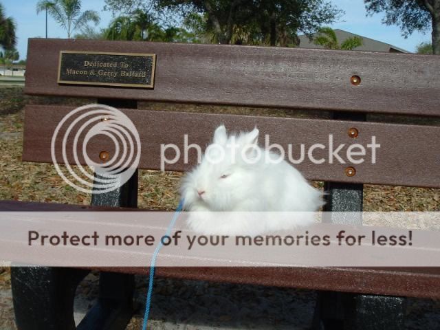 anotherdayatthepark019-1.jpg picture by cutecottonbun