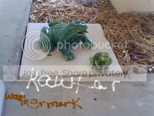 pic062409_1-1.jpg picture by cutecottonbun