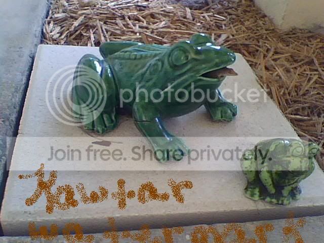 pic062409_2-1.jpg picture by cutecottonbun